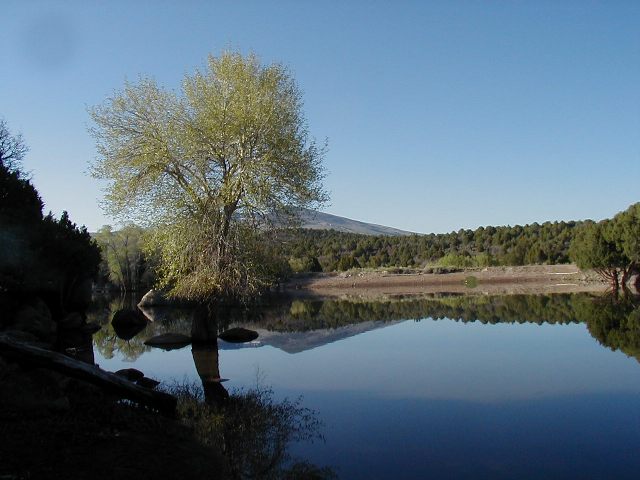 Rex Reservoir